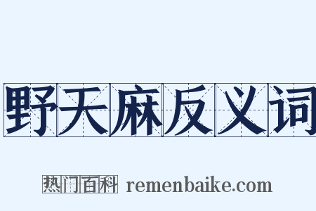 野天麻反义词是什么意思的图片